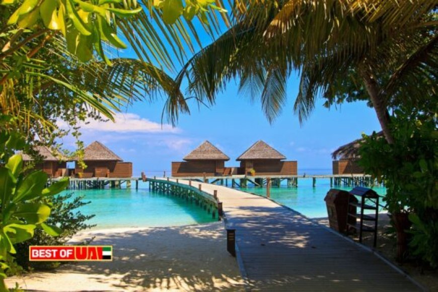 Best Staycation Resorts in UAE – Top 7 Picks for a Relaxing Escape