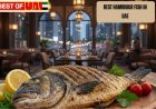 Best Hammour Fish in UAE for Restaurants and Home Cooking