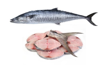 Kingfish (Kanaad) in UAE: Benefits, History & Where to Buy Fresh