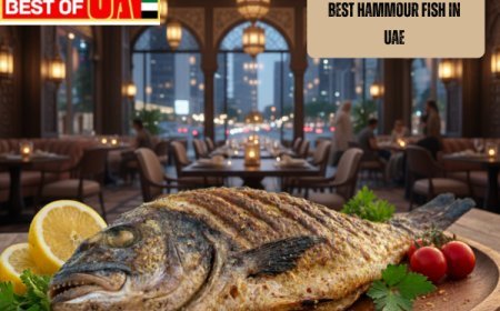 Best Hammour Fish in UAE for Restaurants and Home Cooking