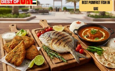Best Pomfret Fish in UAE for Grilling, Frying and Curry Recipes