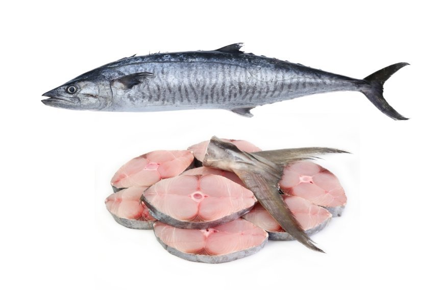 Kingfish (Kanaad) in UAE: Benefits, History & Where to Buy Fresh