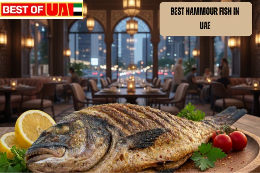 Best Hammour Fish in UAE for Restaurants and Home Cooking