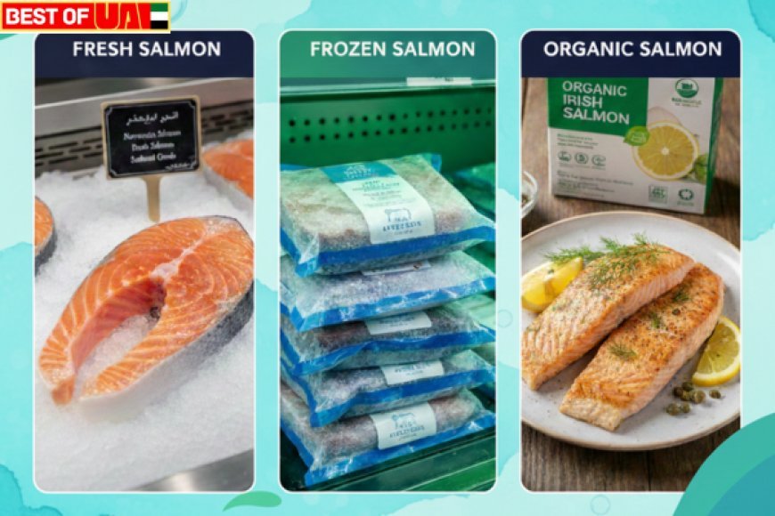 Best salmon fish in UAE: Fresh, Frozen and Organic